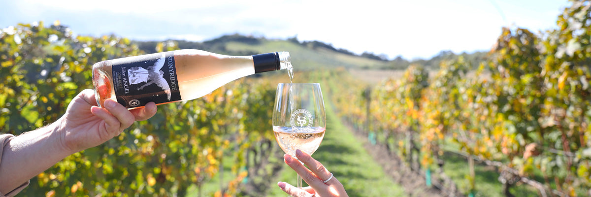 Rosé Wine