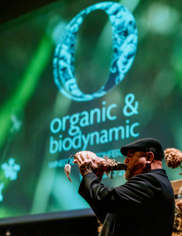 What Is Organic Wine - And Why It Matters in Aotearoa