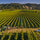Image of No 1 Family Estate winery