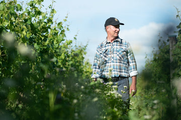 Winemaker and Viticulturalist