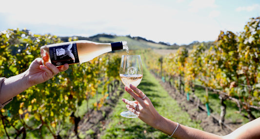 Everything You Never Knew About Rosé (But Probably Should)