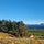 Image of Clos Henri winery