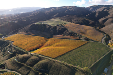 A Landscape for the Future