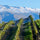 Image of McArthur Ridge winery