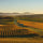 Image of Churton winery