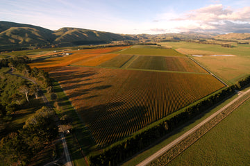 Best Sites, Sustainably Managed