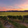 Image of Seifried winery