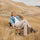 Image of Loveblock winery