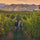 Image of Kelly Washington winery