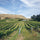 Image of Astrolabe winery
