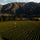 Image of Coal Pit winery