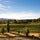 Image of Two Paddocks winery