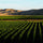 Image of Paritua winery