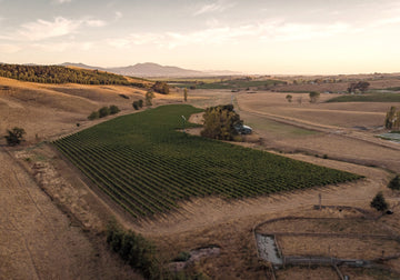 Careful Farming – Honest Wines